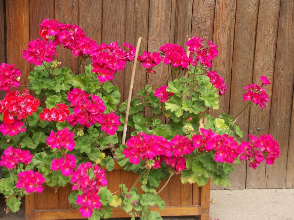 Holiday Home Near Chapelle Aux Bois Бан-ле-Бан Екстериор снимка